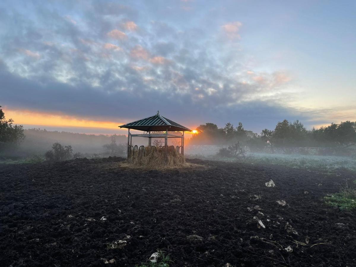 アルタムラ Donnapaola Modern Farmヴィラ エクステリア 写真